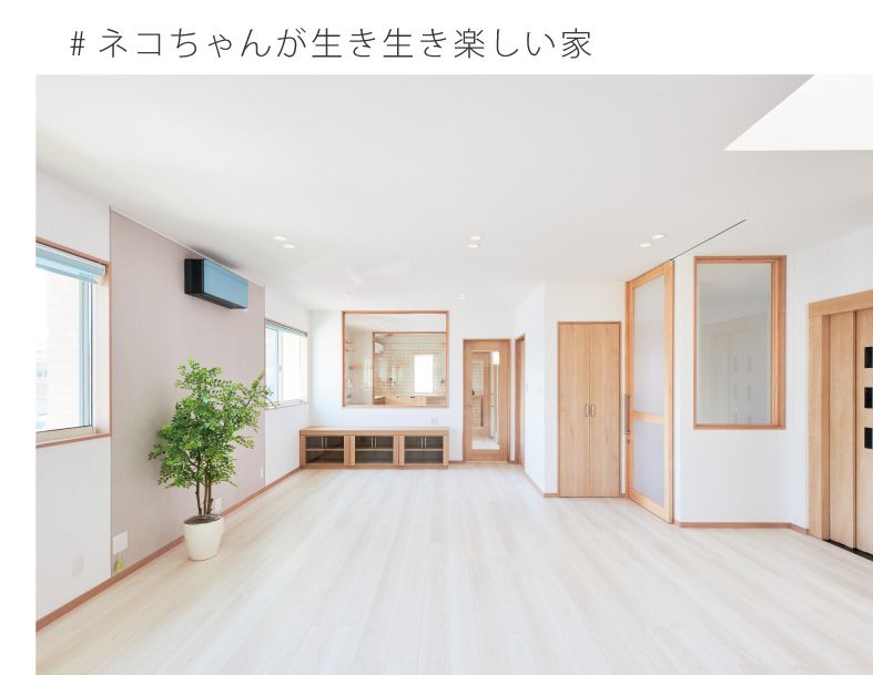 ネコちゃんが生き生き楽しい家