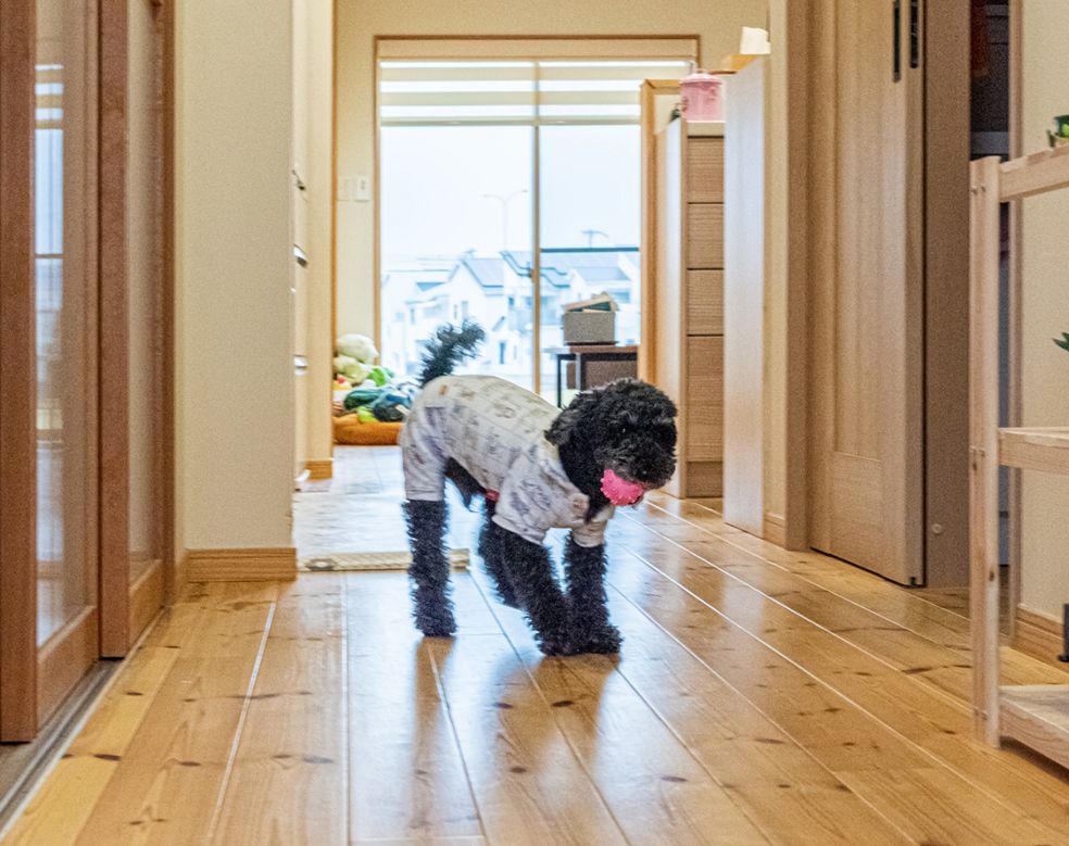 快適です！今は寒くない♪