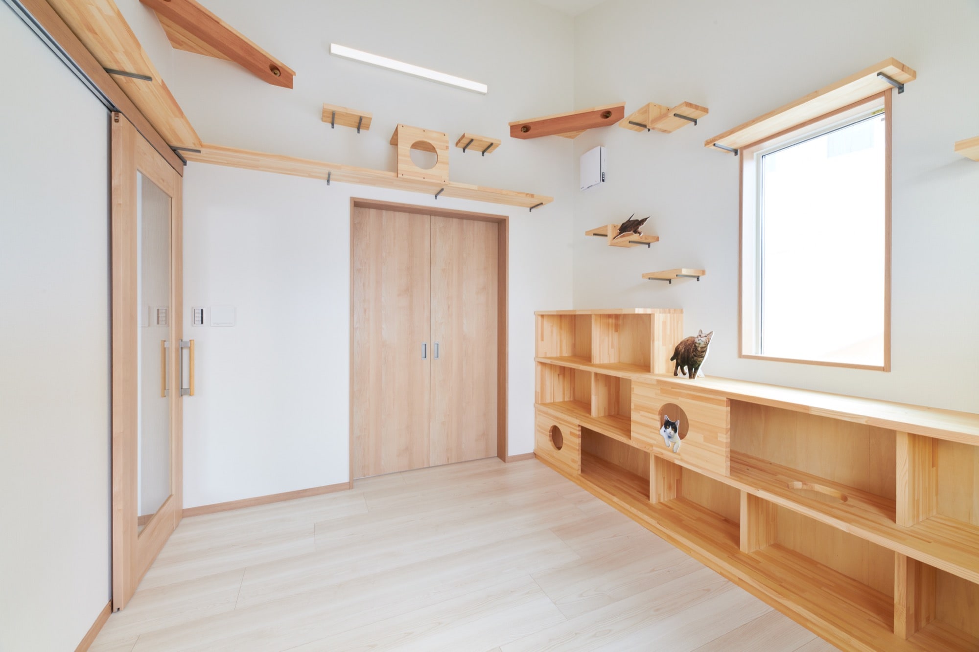 女性建築家のティータイムコラム｜ペットと暮らす家