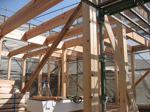 家を建てる木